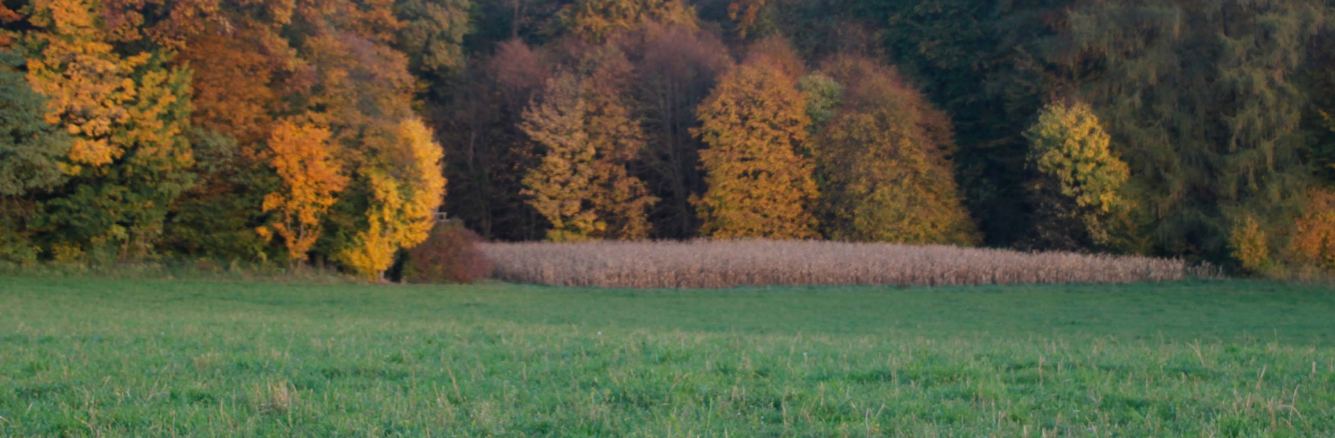 WALD und FLUR erhalten!
