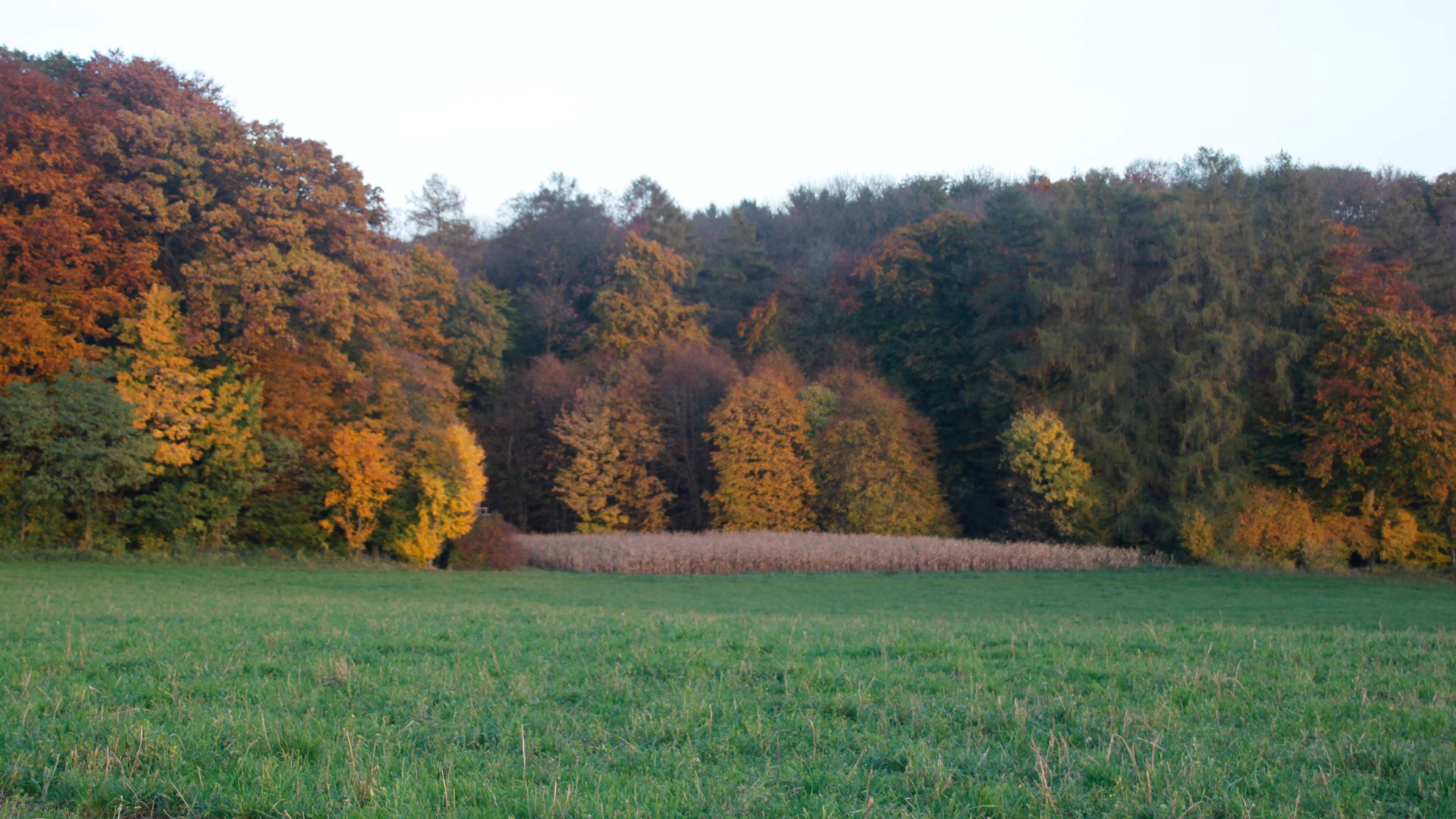 WALD und FLUR erhalten!